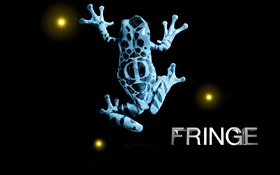 Fringe, grenouille, créatif, fond noir HD Fonds d'écran