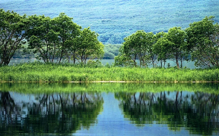 Nature paysage, arbres, vert, rivière, réflexion de l'eau Fonds d'écran, image