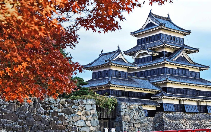 Pagode, le Japon, l'automne, les arbres Fonds d'écran, image