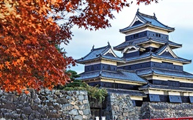 Pagode, le Japon, l'automne, les arbres HD Fonds d'écran