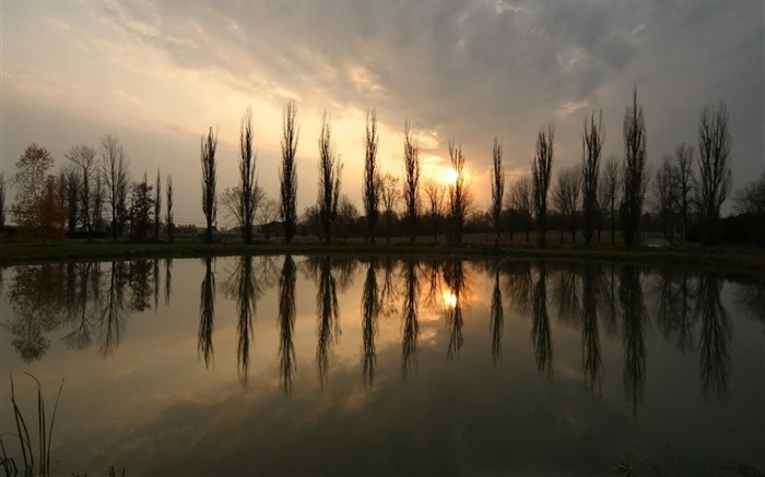 Pond, coucher de soleil, les arbres Fonds d'écran, image