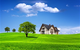 Été, maison, arbres, champ, herbe verte HD Fonds d'écran