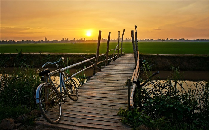 Coucher de soleil, vélo, pont, herbe, champ, rivière Fonds d'écran, image