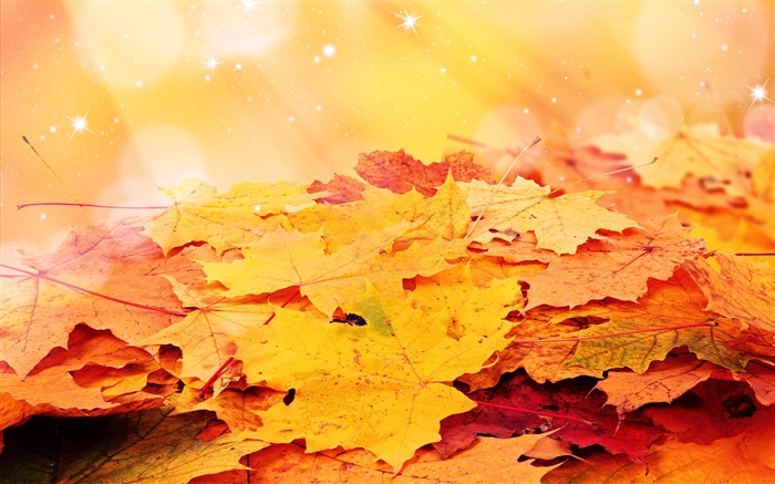 Les feuilles jaunes, automne, étoiles Fonds d'écran, image