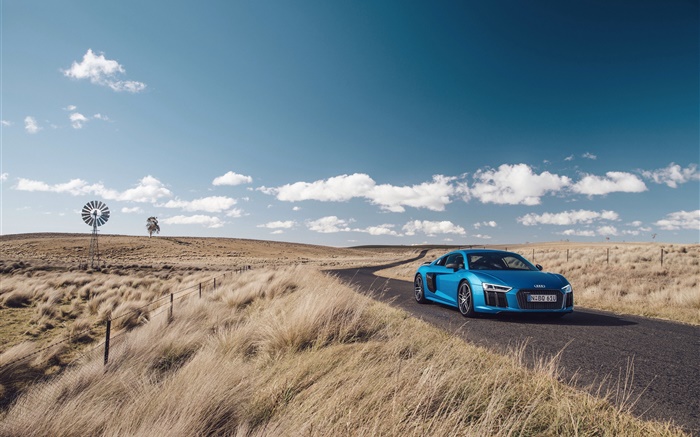 Audi R8 V10 voiture bleue, nature, herbe, route Fonds d'écran, image