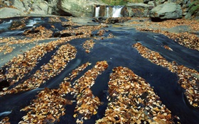 Automne, beaucoup de feuilles, chute d'eau, ruisseau, rochers