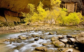 Automne, rivière, pierres, arbres, feuilles jaunes HD Fonds d'écran