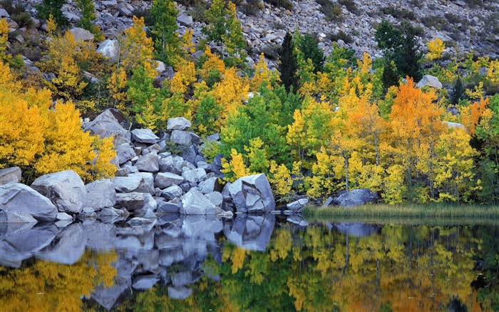 Automne, arbres, rochers, lac, réflexion de l'eau Fonds d'écran, image