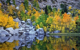 Automne, arbres, rochers, lac, réflexion de l'eau HD Fonds d'écran