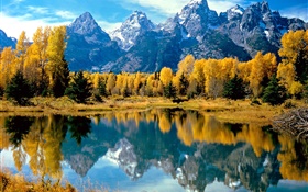 Automne, arbres, jaune, lac, montagne HD Fonds d'écran