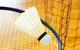 Badminton et raquette