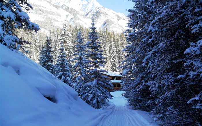 Parc national Banff, Canada, arbres, maison, montagnes, neige Fonds d'écran, image