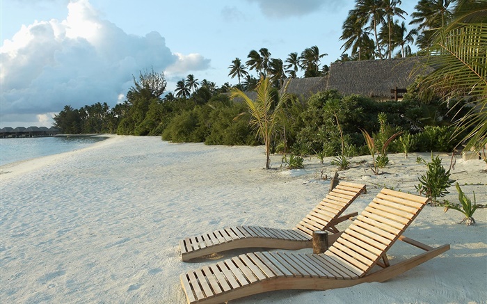 Beach, chaise, palmiers, tropical Fonds d'écran, image