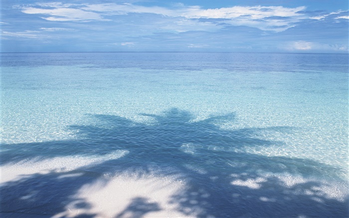 Plage, mer, palmiers ombre, Maldives Fonds d'écran, image