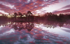 Belle crépuscule, arbres, lac, réflexion de l'eau, nuages rouges