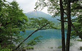 Belle nature, lac, arbres, montagnes, Hokkaido, Japon