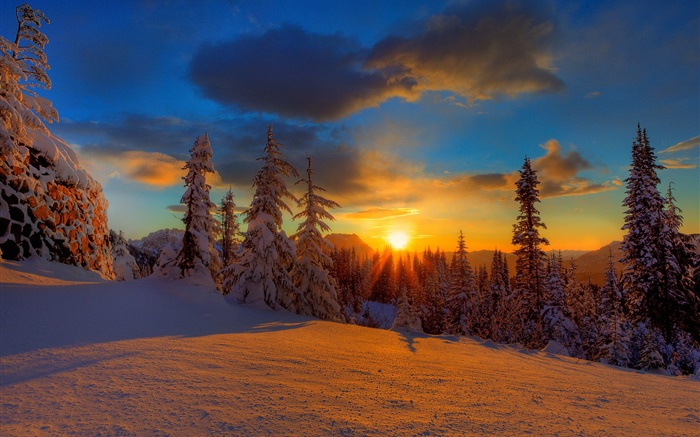 Magnifique coucher de soleil, hiver, neige, arbres, crépuscule Fonds d'écran, image