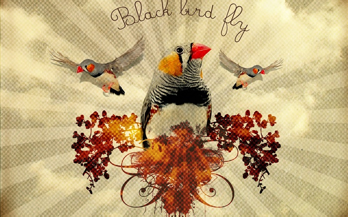 mouche oiseau noir, la conception d'art créatif Fonds d'écran, image