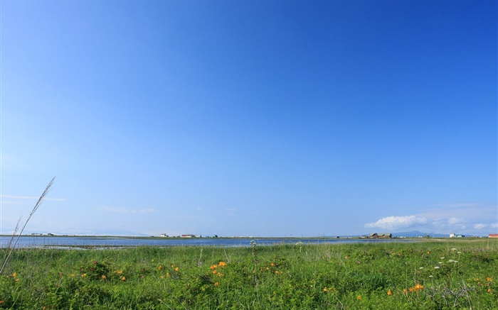 Ciel bleu, herbe, côte, Hokkaido, Japon Fonds d'écran, image