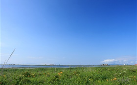 Ciel bleu, herbe, côte, Hokkaido, Japon