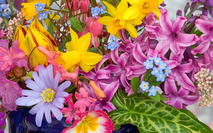 Bouquet de fleurs, de nombreux types, coloré Fonds d'écran, image