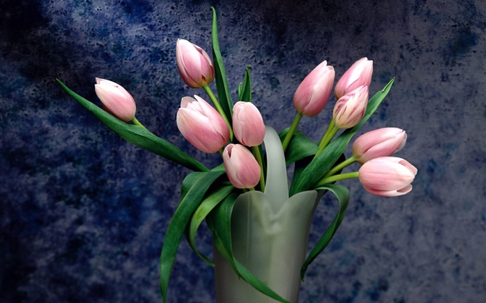Bouquet, fleurs de tulipes roses Fonds d'écran, image
