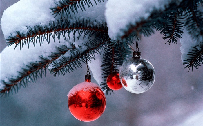 Boules de Noël, arbre, brindilles, neige épaisse Fonds d'écran, image