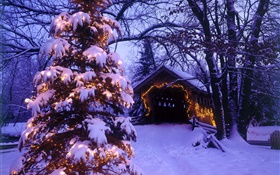 arbre de Noël, la neige, la maison, les arbres