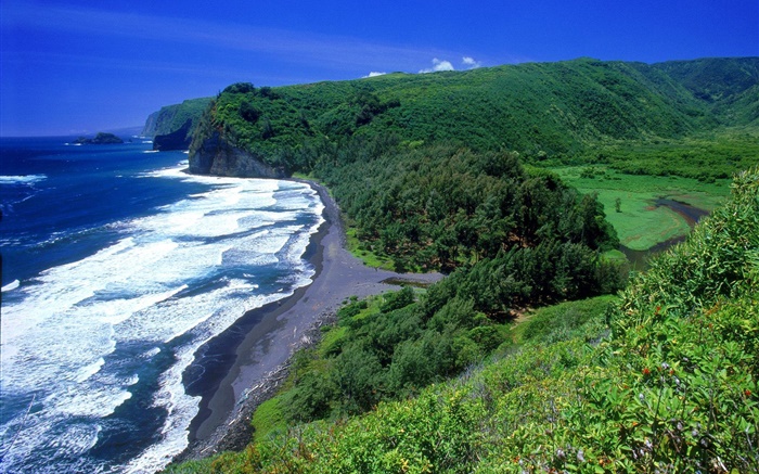 Côte, mer, plage, Hawaii, États-Unis Fonds d'écran, image