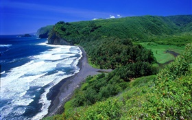 Côte, mer, plage, Hawaii, États-Unis HD Fonds d'écran