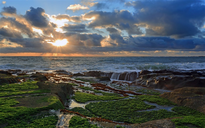 Coast, pierres, coucher de soleil, nuages, océan Pacifique Fonds d'écran, image