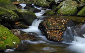 Creek, pierres, feuilles rouges, automne HD Fonds d'écran