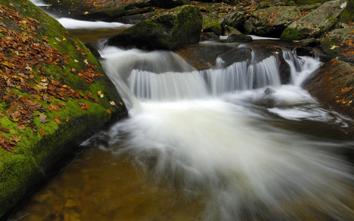 Creek, ruisseau, rochers, automne Fonds d'écran, image