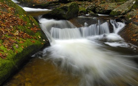Creek, ruisseau, rochers, automne