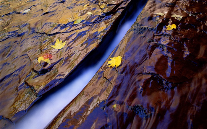 Crique, l'eau, roches, feuilles jaunes Fonds d'écran, image