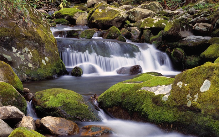 Creek, cascades, pierres, mousse, nature paysages Fonds d'écran, image