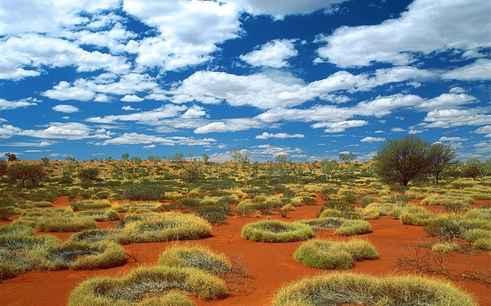 Désert, herbe, nuages, Australie Fonds d'écran, image