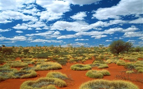 Désert, herbe, nuages, Australie HD Fonds d'écran
