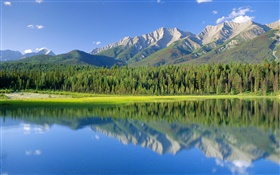 Lac Dog, montagnes, forêt, parc national Kootenay, en Colombie-Britannique, Canada HD Fonds d'écran