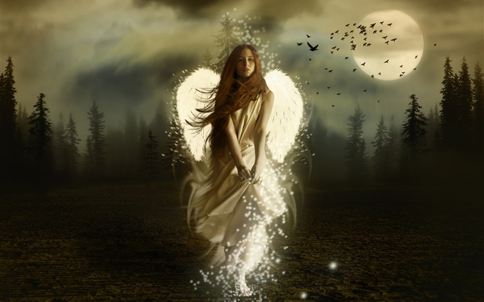 Fantastique fille d'ange, ailes blanches, la nuit, la lune, les oiseaux Fonds d'écran, image