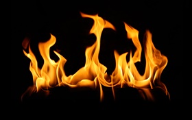 Fire flame close-up, fond noir HD Fonds d'écran