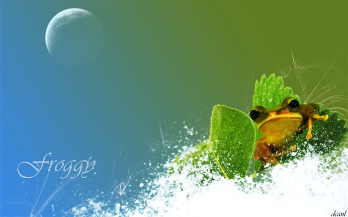 Frog, neige, feuille verte, photos créatives Fonds d'écran, image