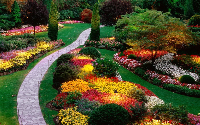 fleurs de jardin, coloré, ressort Fonds d'écran, image