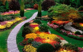 fleurs de jardin, coloré, ressort HD Fonds d'écran