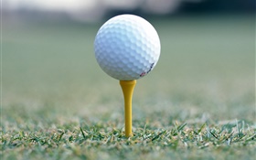 Golf ball close-up HD Fonds d'écran