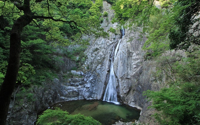 Great nature, cascades, falaises, lac, arbres, Hokkaido, Japon Fonds d'écran, image