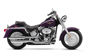 Harley-Davidson, Fatboy HD Fonds d'écran