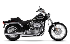 Harley-Davidson, SOFTAIL HD Fonds d'écran