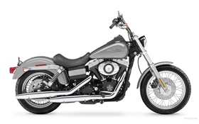 Harley-Davidson, noir et gris