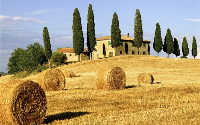 Meules, champs, maisons, arbres, Italie Fonds d'écran, image